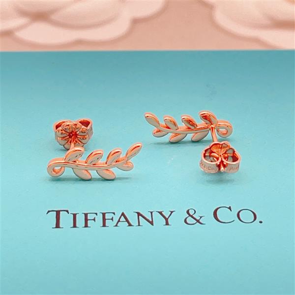 202664222827173 